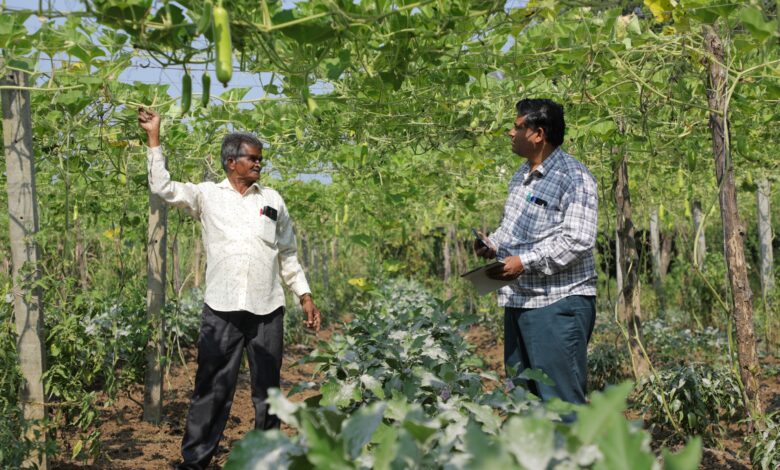 मिश्रित फसलों की प्राकृतिक खेती कर लाखों की कमाई कर रहे अम्बिका तहुसील के वेलणपुर गांव के वनमालि पटेल